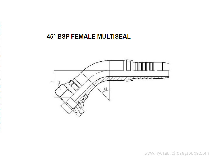 45° BSP Female Mutiseal 22141