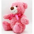 Animal de peluche Big Pink Teddy Bear