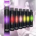 Iplay Bang Pod 6000 Puffs Ecigs Vape