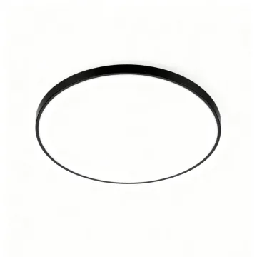 LED Ceiling Light for Small Apartments