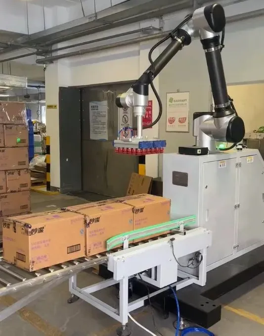 Collaborative Robots Stacking Machine Palletizer Robot for 30kg Carton