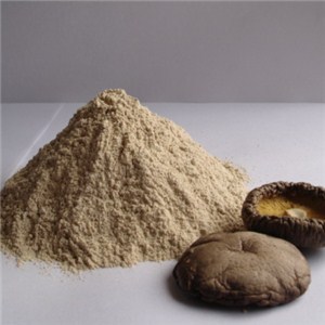 Mushroom Powder