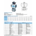 Válvula de bola DN15-DN50 3pc (1000wog)