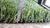2016 artificial grass for landscape