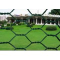 Hexagonal Wire Netting- Pvc Coated Wire PVC Coated Hexagonal Wire Netting Manufactory