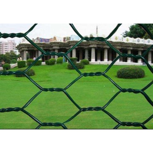 PVC Coated Wire Netting PVC Coated Hexagonal Wire Netting Manufactory