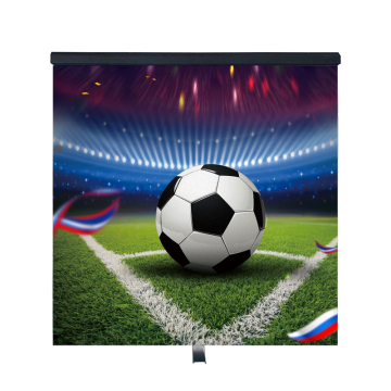 SMD Stadium Perimeter LED Display