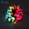 Outdoor Decorative christmas led string lights