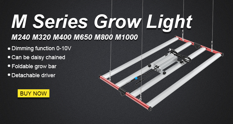 aglex 400w grow light