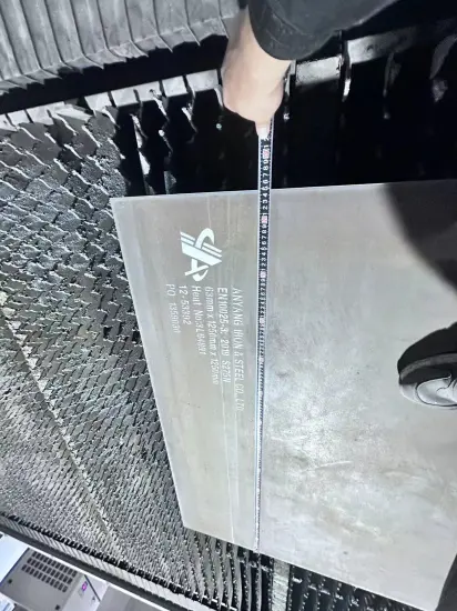 Premium Customizable Stainless Steel Plates