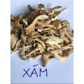 Kultivieren Sie Ihren eigenen Premium pleurotus ostreatus spawpilze
