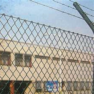 High quality & Cheap price pvc coated chain link fence