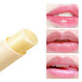 Lip balm for men and women