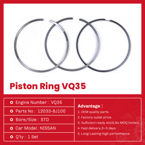 12033-8J100 Diesel Engine Piston Ring for Nissan VQ35