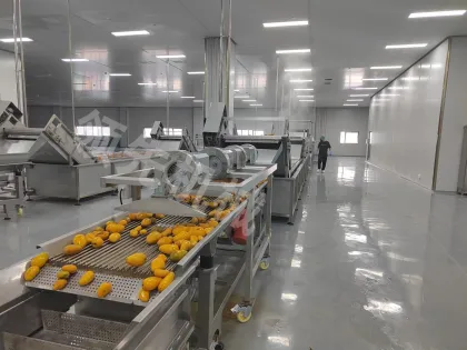 Mango Pulp Plant: Mango Seed Remover Machine & Mango Juice Maker