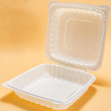 Disposable lunch box for university