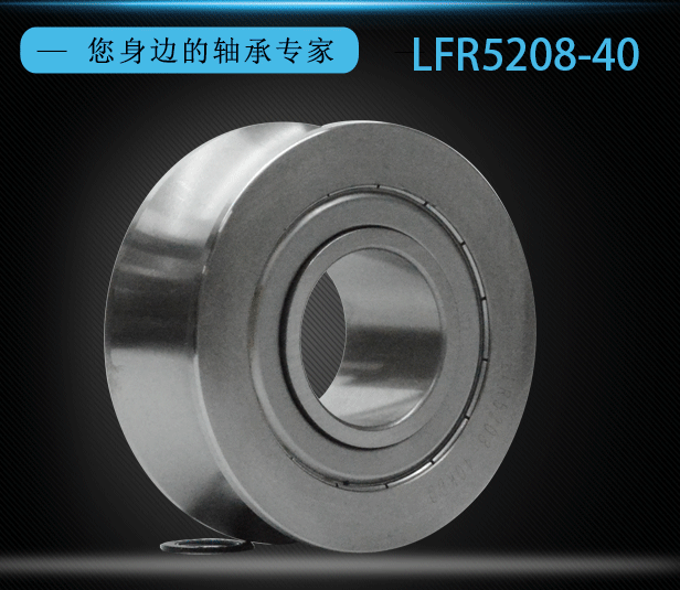 Double Row Angular Contact Ball Bearing LFR5208