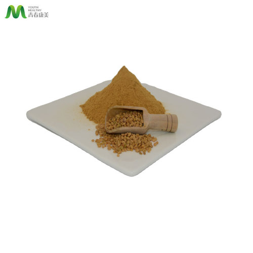 Fenugreek Seed Extract Bulk Fenugreek Seed Extract Powder Manufactory