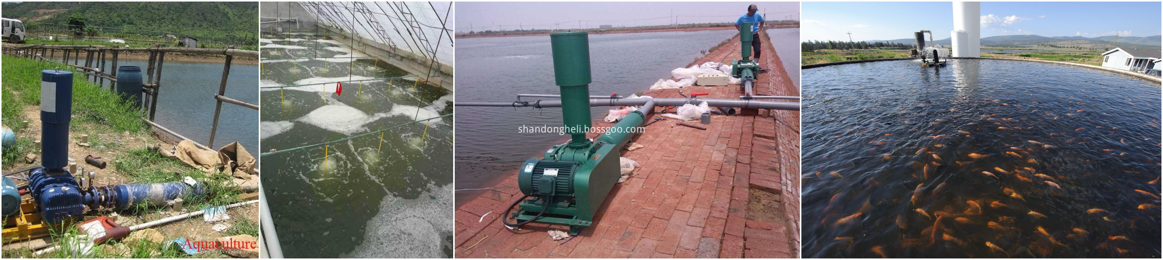 Roots Blowers For Aquaculture Farming