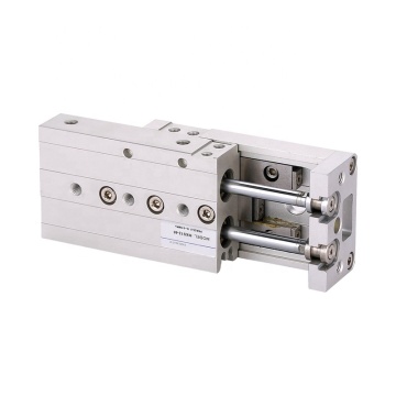 MXS16-10-20-30-40-40 Dual Rod Slide Cylinder with Adjustable Buffer