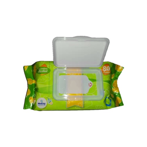 Private Label Kostenlose Probe Baby Wipe Warmer