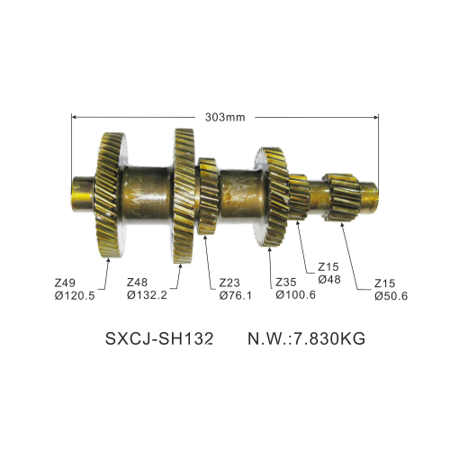 Auto Parts Transmission Gear Shaft 49T-48T-23T-35T-15T-15T for Mitsubishi Fuso