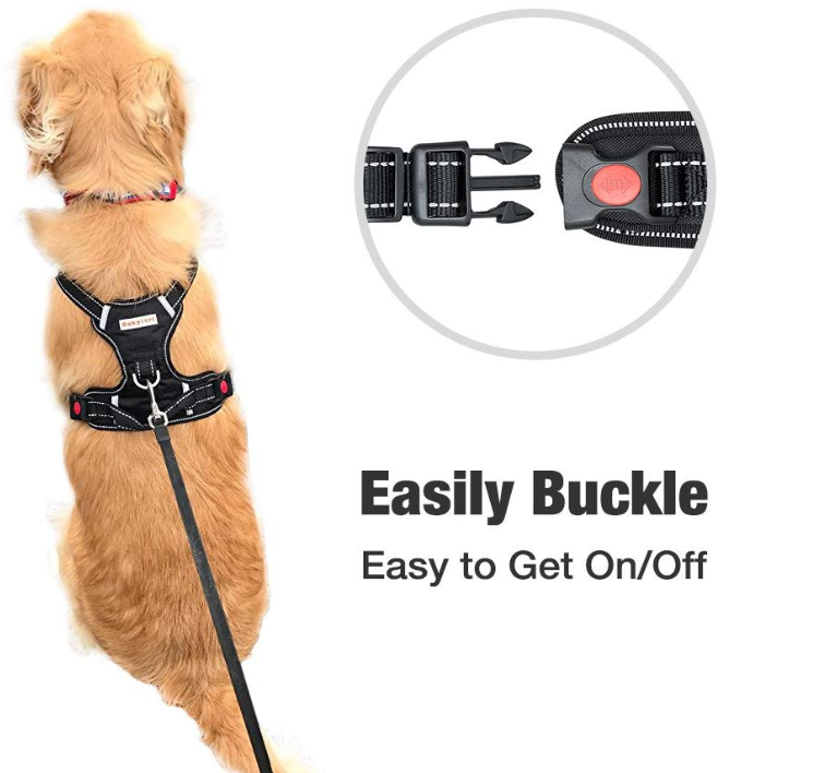 Big Large Dog Harness