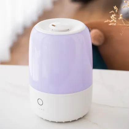 OEM Decorative Air Humidifier for Home and Car