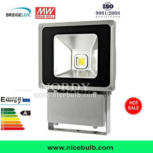 100W Waterproof with Dustproof RGB LED Flood Light