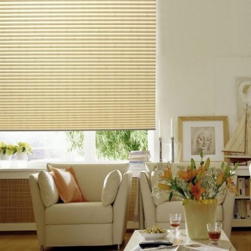 pleated window treatments