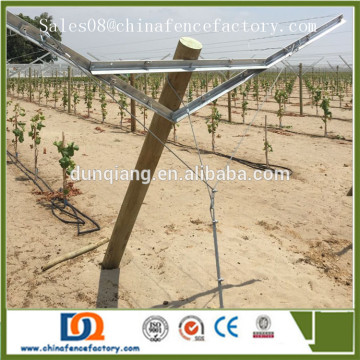 Y shaped Grape Trellis Stakes/Post Professional Manufacturer