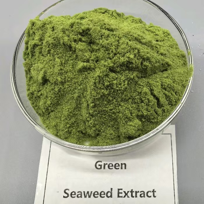 Organic biostimulant Green algae extract