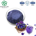 Vibrant Blue Butterfly Pea Extract for Herbal Tea and Smoothies
