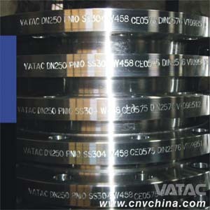 Stainless Steel Slip-on / Welding-Neck Flanges