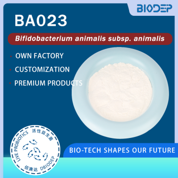 Bifidobacterium animalis subsp. animalis 500B UFC/g