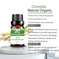 Óleo essencial de citronela natural pura para aromaterapia