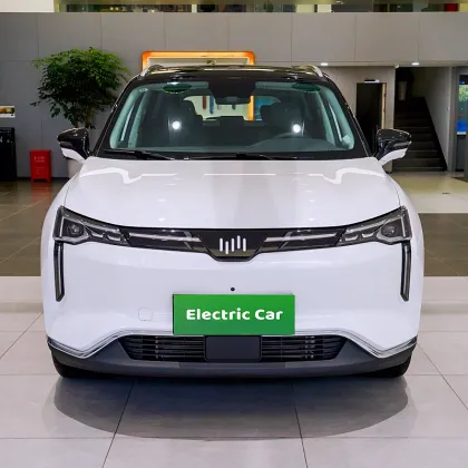 Pure electric mid size SUV Weima w6
