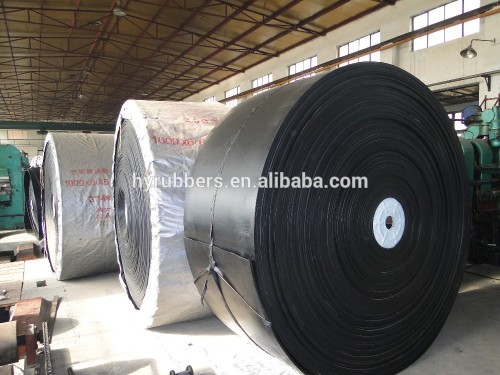 High quality cold esistant conveyor belt