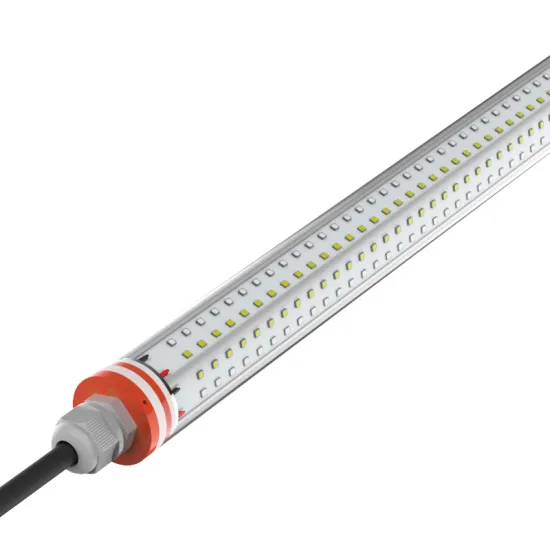 szAMB Layer poultry lighting