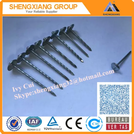 High Quality Galvanized Roofing Nails ISO9001 Certification