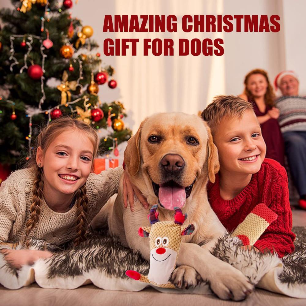 Christmas Squeaky Dog Toys, Plush Dog Toys,Interactive Dog Puzzle Toys ,Interactive Plush Dog Chew Toys