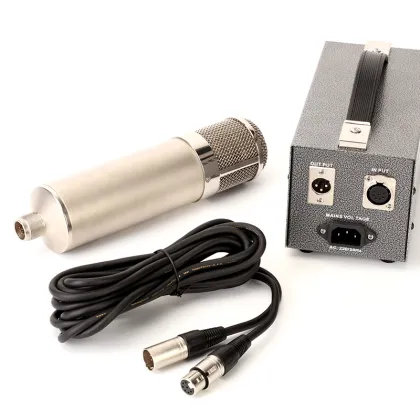 Professional Studio Condenser Tube Microphone - Large 34mm Diaphragm for Metal Recording