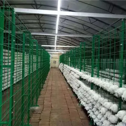 mushroom farm shipping container greenhouse