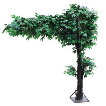 Linwoo China Factory Hot Sales Artificial Ficus Silk Tree for Home Decoration