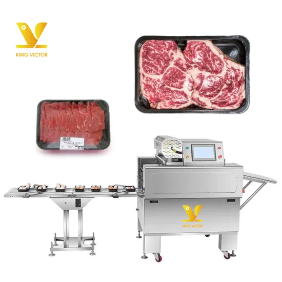 Automatic Vacuum Packing Machine for Fresh Fruit and Beef Steak