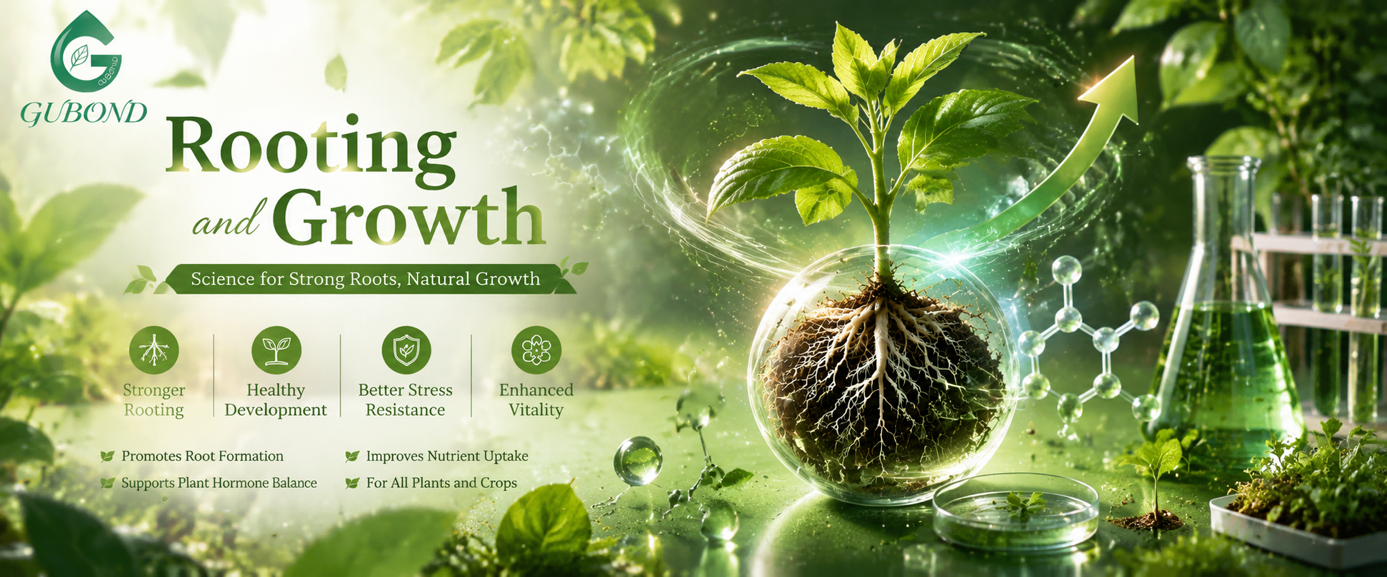 Rooting and growth