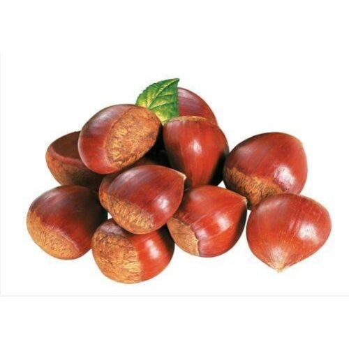 Good Quality 2020 New Crop Chestnut