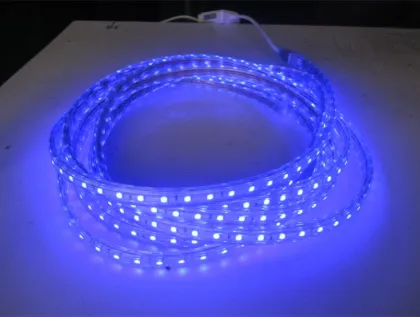 AC 220V flexible 5050 led strip