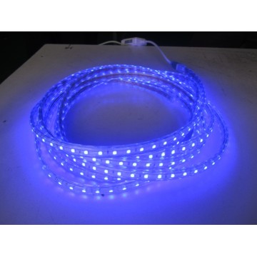 AC 110V-220V 5050 led strip