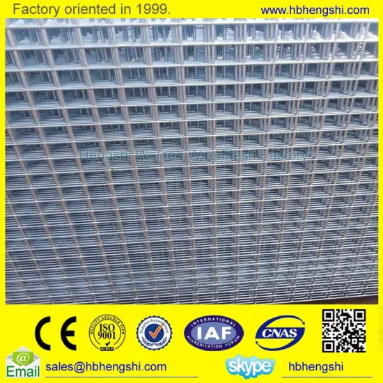 New design welded wire mesh made in China